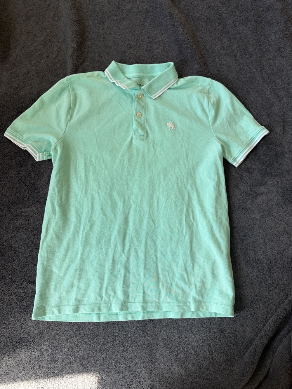 abercrombie kids Mint Polo Shirt with Contrast Trim